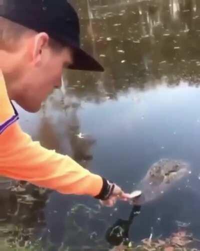 I wonder if he’d like some fries with that...