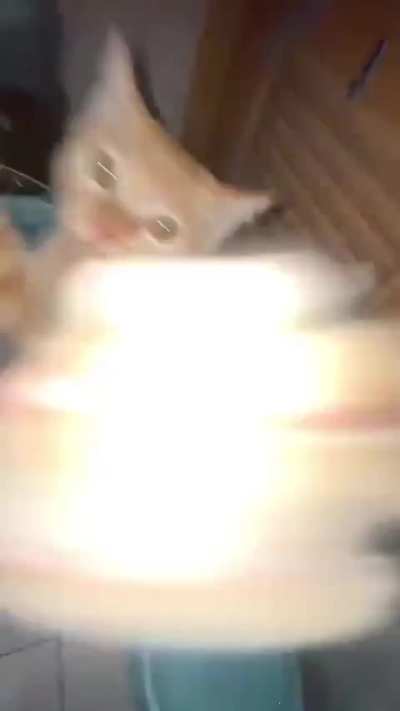 GET JIGGY WITH IT!!!