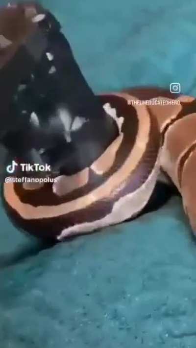 nobody wunk, nobody get hurt