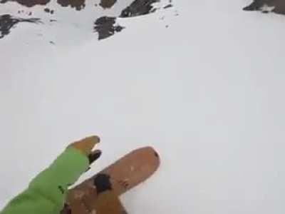 The dog is okay afterwards