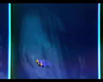 scraped vocals for flex up