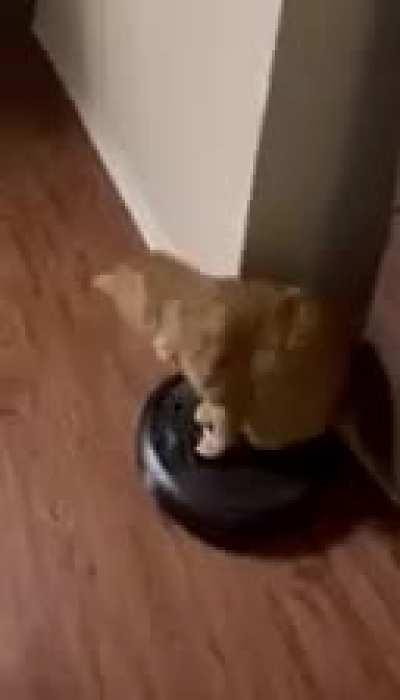 he likes his joy rides