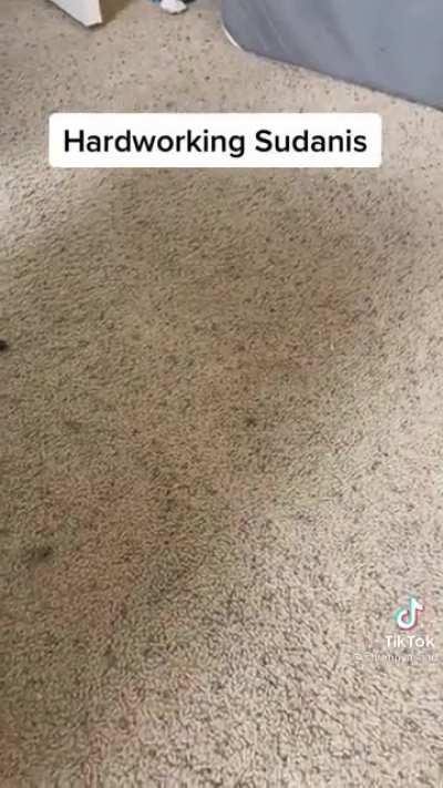 Most relevant Tiktok