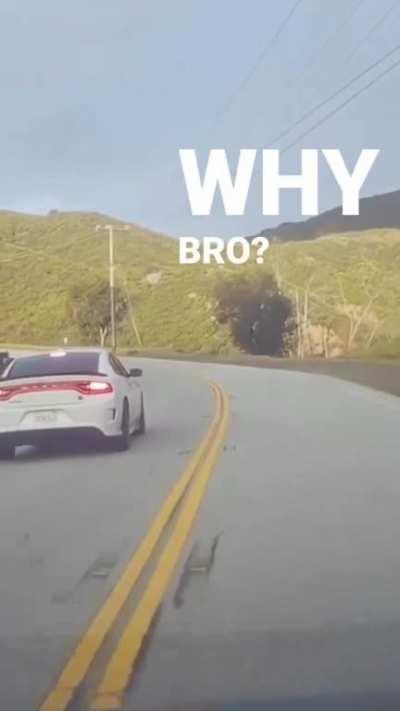 Dodge Charger charges into a power line