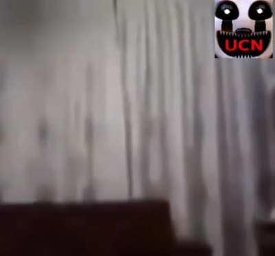 screamers in FNAF custom night be like