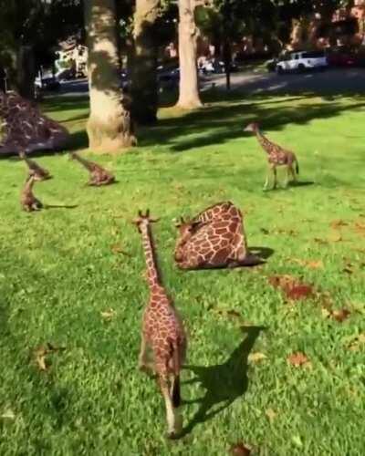 Wonderful place and looks like paradise