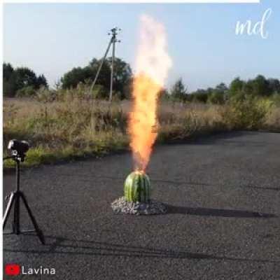 This is stupid AND dangerous.