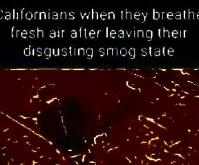 If you saw off your teeth, the choking is