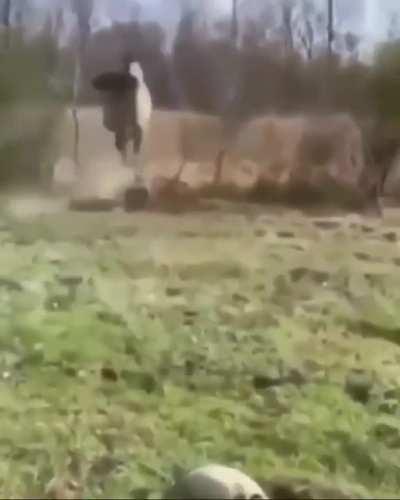 Horse & Dog Bros Check on their new Snapping Turtle neighbor. .(Turn on sound)