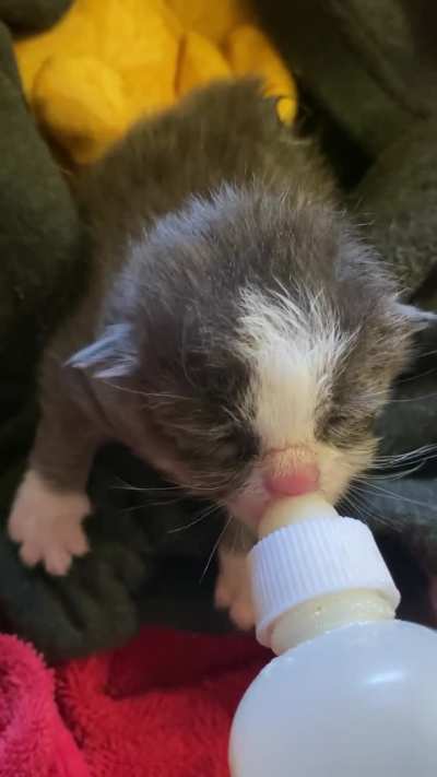 As requested: More Jeff from Accounting💖