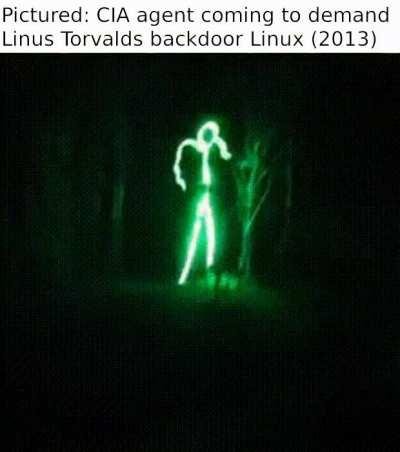 You can see them when you're driving - you run 'em over, that's what you do