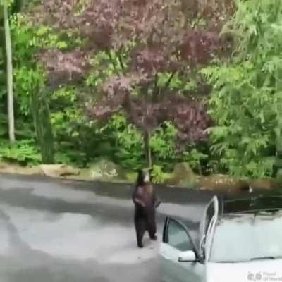 The book I borrowed was last lended 41 years ago