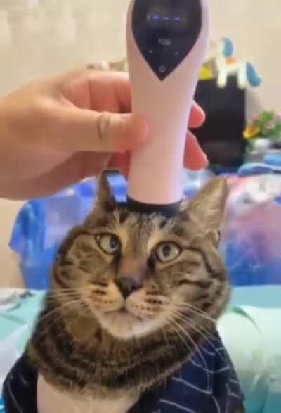 eViL cLaW pErfOrms LoBotOmY oN HeLpLeSS sOuL