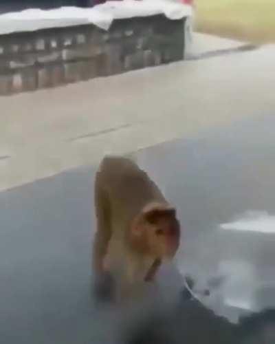 que isso Muquinha? 1080p 👍🏻