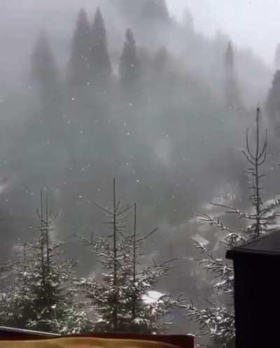 This would be heaven