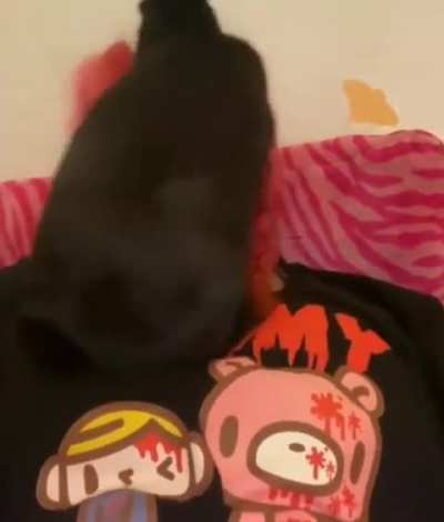 Ох уж этот Роджер