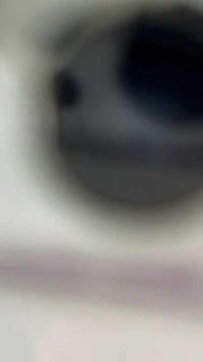 Georgia Steel is on fire these days