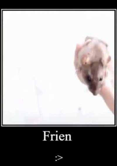 frein :>