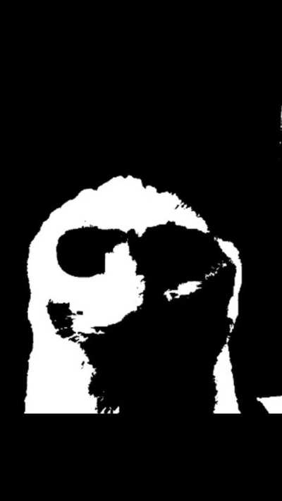 Horor😱😱fying😅