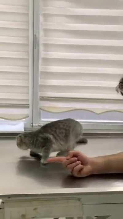 Have no fear, little one.