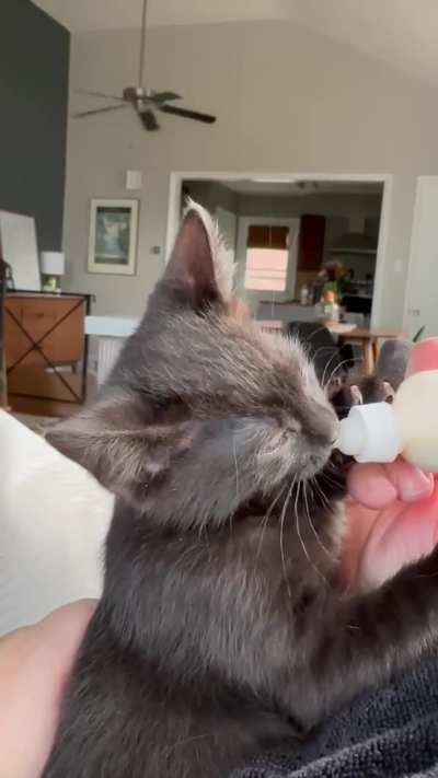 Tallulah has zero control over those wiggly ears!