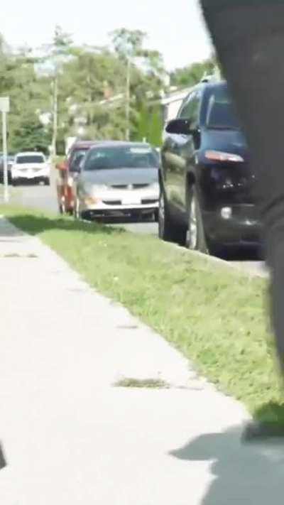 Batdog isn't cute he's dangerous