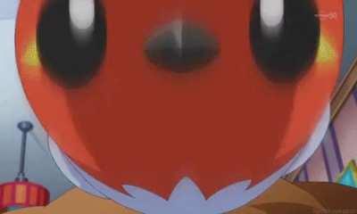 Fletching has decided your fate