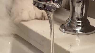 “Can I please drink in peace?”