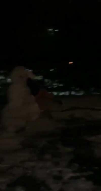 Snowman fights back against attacker (OC)
