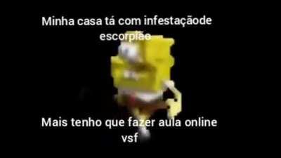 Vsf aula online