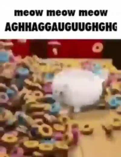 Meow meow meow AGHHAGGAUGUUGHGHG