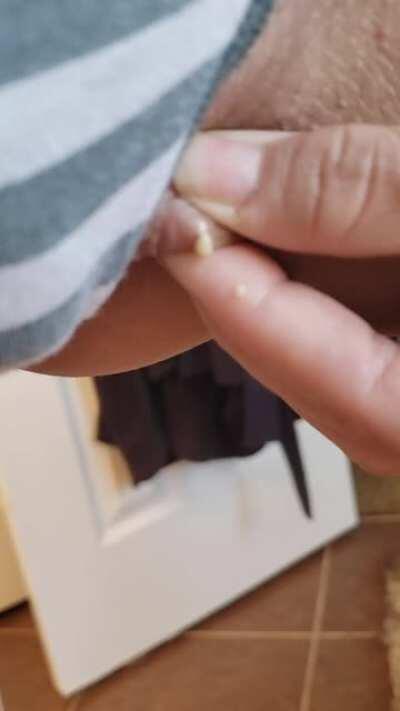 I was about to play a card game. Then this happened. Cards can wait.