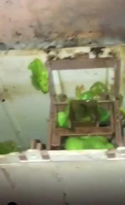 alskdfj;lsakdjf;alkdjf