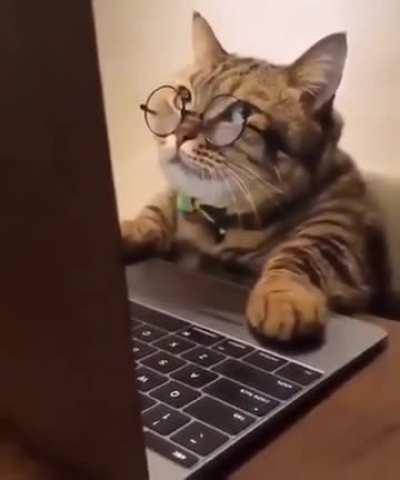 Me looking for daily news on Whole Lotta Red on this sub