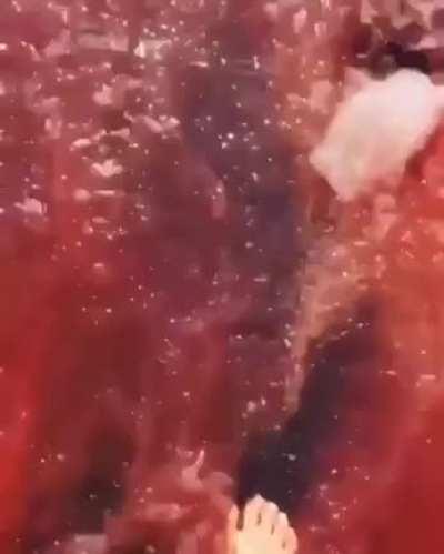 🔥 rainbow island, iran