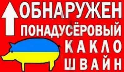 🇺🇦🇺🇦🇺🇦🤮🤮🤮