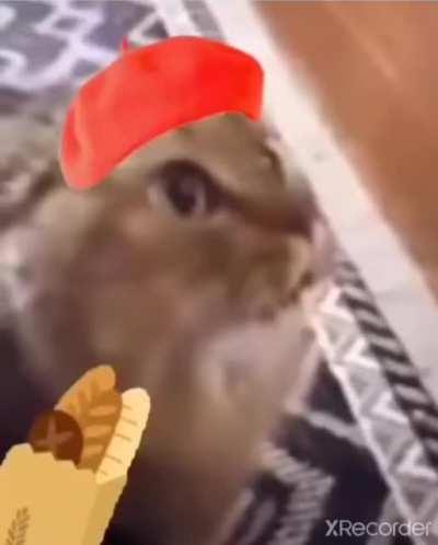 This is the content that I live for.... Wait for it!!!