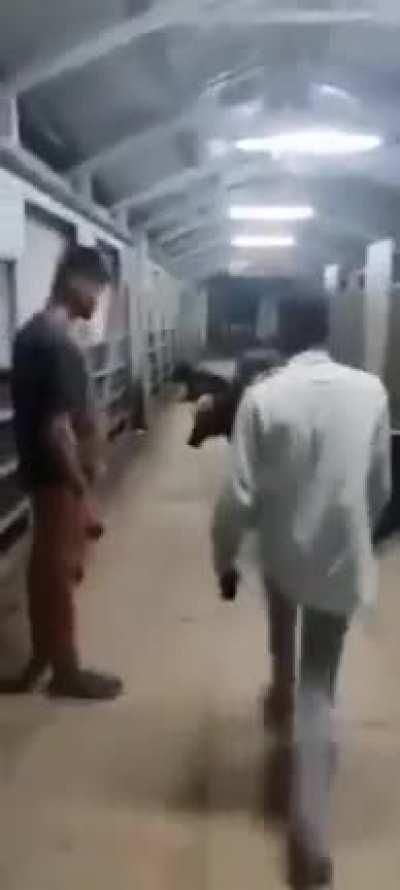 get the f** of you dad f***r