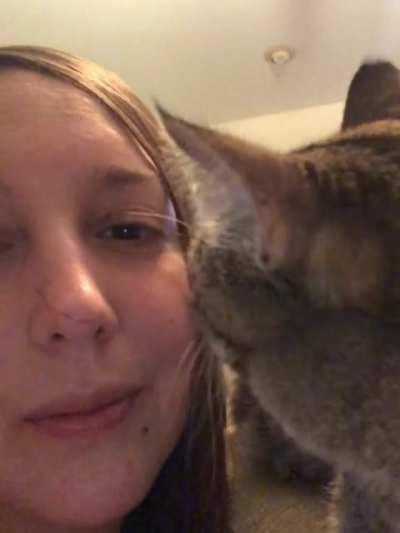 She kissed me to make up for it