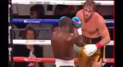 Floyd Mayweather actually knocked out Logan Paul but held him up during the fight to carry it through 8 rounds