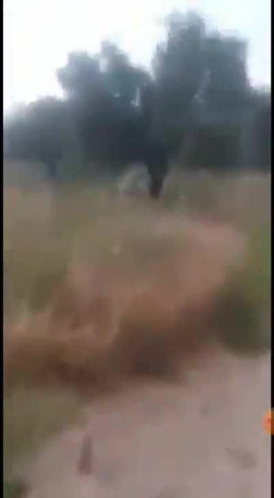 İddialara göre PKKlı Kürtlere ait bir video. Hatay yangınlarına neden olan kişiler