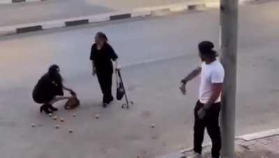 Rollercoaster of emotions 