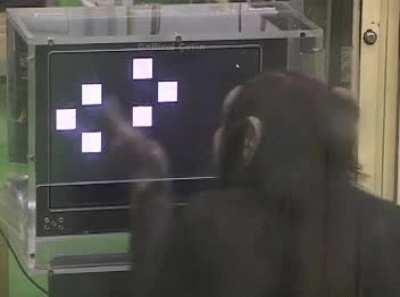 xQc practicing thermite hacking