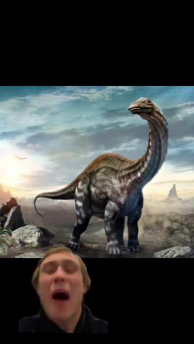 Dinosaurs never existed apparently