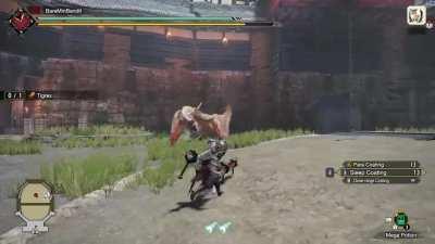 My best moment in MH Rise.