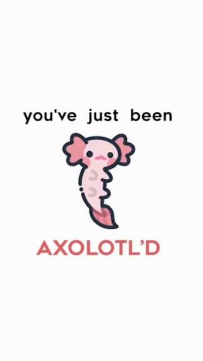 Axolotl’s Rule