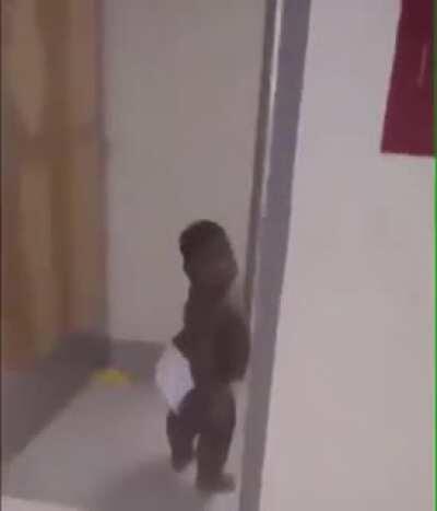 Saw DaBaby at school today 😈