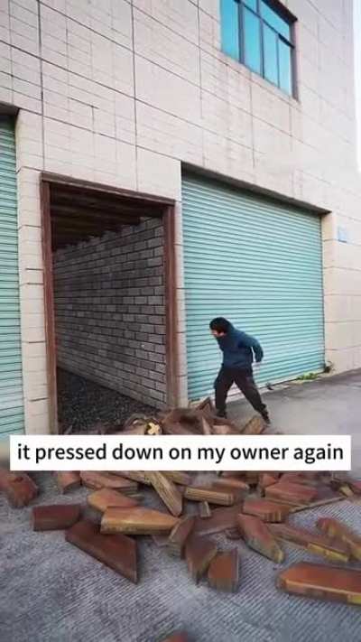 I beg of you guys, what is the little turtle song (the one used in this video)