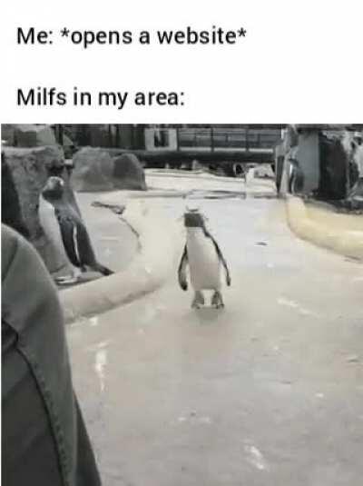 Merry Christmas Everyone