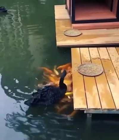 When your tall friend can reach the top shelf and get things for you. Sharing is caring.